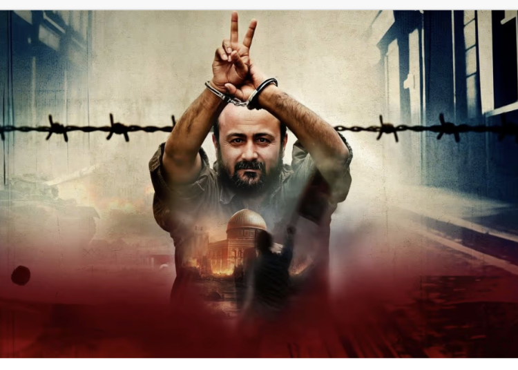 marwan barg